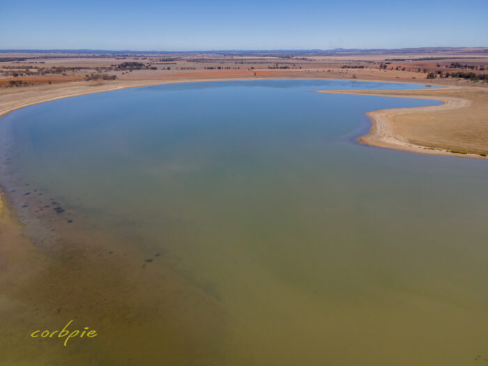 Drying Greens Lake drone 8