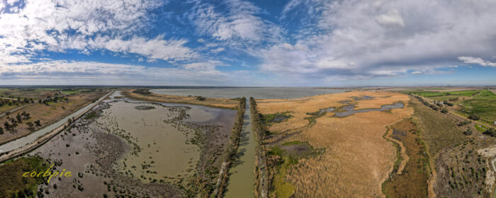 Kow Swamp drone pano 1