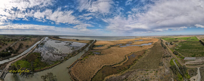 Kow Swamp drone pano 2