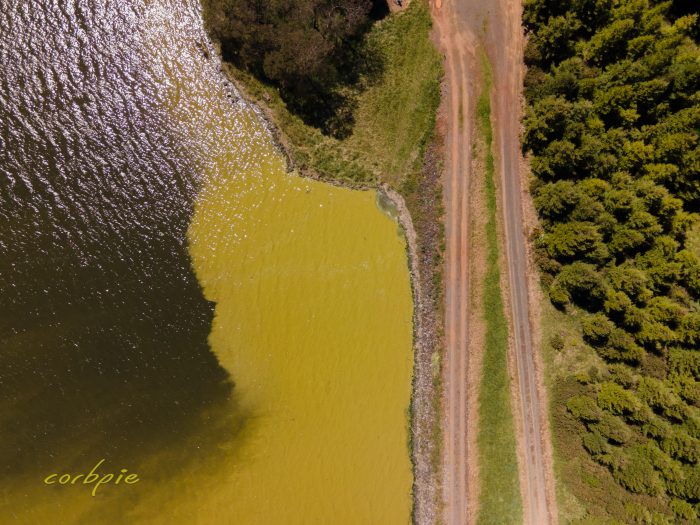 Moorabool Reservoir drone 11
