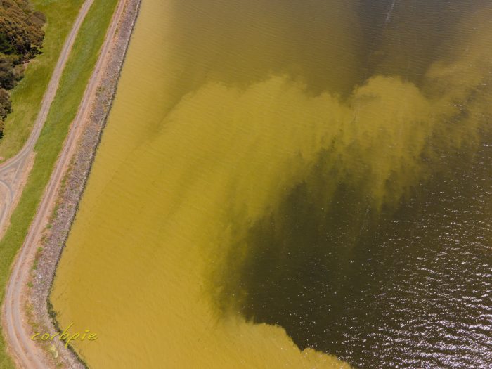 Moorabool Reservoir drone 12