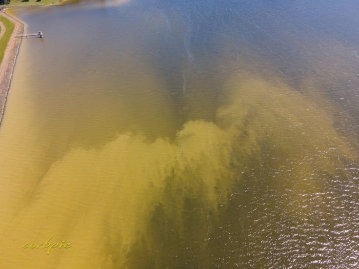 Moorabool Reservoir drone 14