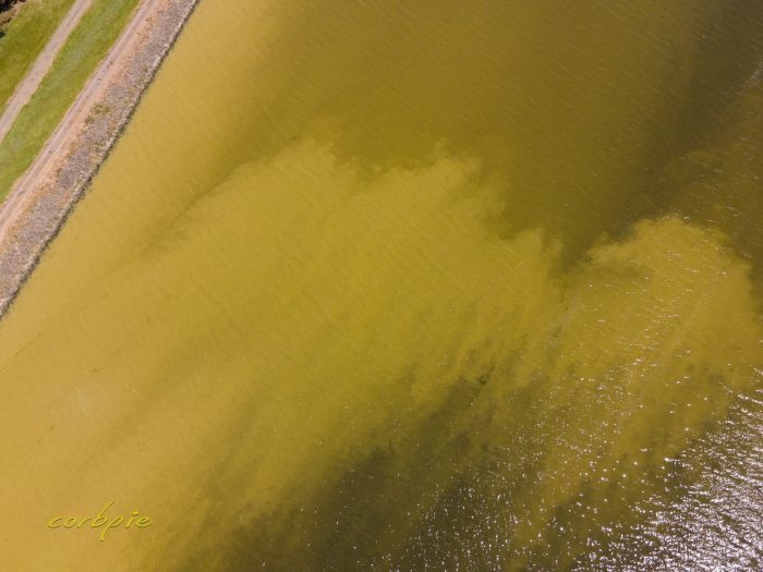 Moorabool Reservoir drone 15