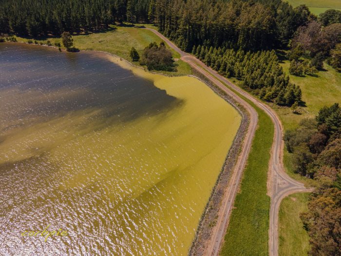 Moorabool Reservoir drone 9