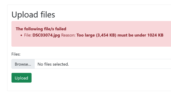 Laravel 9 multiple file upload errors