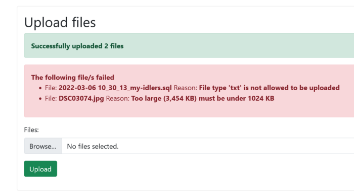 Laravel 9 multiple file upload success and errors