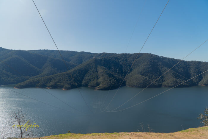 Foggs Transmission Line Lookout 5