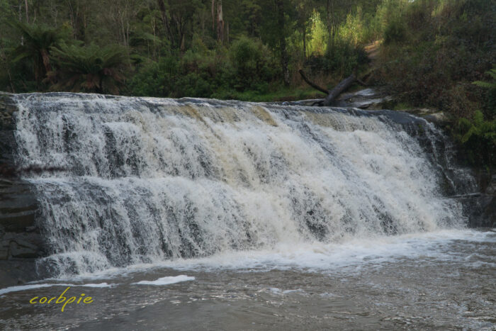 Morwell River Falls 1