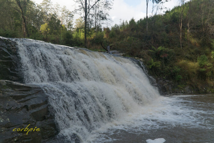 Morwell River Falls 3