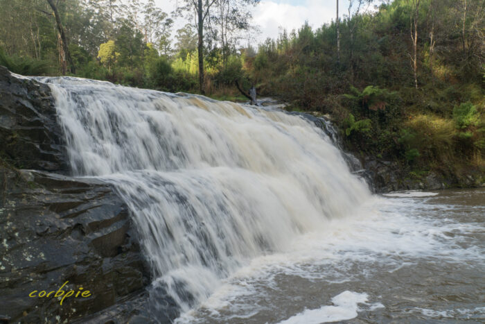 Morwell River Falls 5